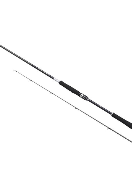 Moonshot Spinning Inshore S96MH 290 cm Plug:10-52 gr JIG:MAX60 gr Light Shore Jig Kamışı fiyatları