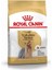 Yorkshire Terrier Adult Yetişkin Köpek Maması 1,5 kg 1