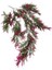 Yapay Çiçek Sarkan Çiçek Yeşil Bordo FERN725 Yapay Sarmaşık 70*30CM Uv Katkılı Güneşe Dayanıklı 1