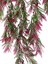 Yapay Çiçek Sarkan Çiçek Yeşil Bordo FERN725 Yapay Sarmaşık 70*30CM Uv Katkılı Güneşe Dayanıklı 4