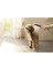 Dogshower Köpek El Duşu 150 3 Jet Petrol Mavisi 26640540 3