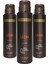 Leon Erkek Deodorant 150 ml 3 Adet 1