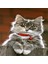 Kedi Desenli Halı Kedili Halı Dijital Baskı Yıkanabilir Kaymaz Taban Çocuk Odası Halısı 2