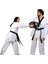 Shield (Kalkan) Taekwondo Kickboks Darbe Yastığı 7