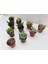 Egzotikbahçe 10'lu Özel Sukulent Set -3 Adet Haworthia + 7 Adet Sukulent 2