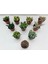 Egzotikbahçe 10'lu Özel Sukulent Set -3 Adet Haworthia + 7 Adet Sukulent 4