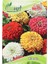 Sunagri Zinnia Çiçek Tohumu 1