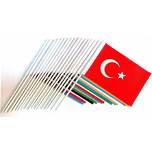 BAYRAKAL Eski Türk Devlet Bayrakları Sopalı