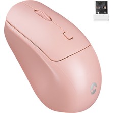 Everest SM-320 USB Gold 1600DPI Optik Kablosuz Mouse