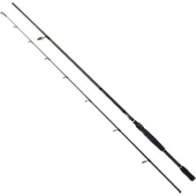 Sea Horse Ranger Spinning Rod 2,70 25-70 gr