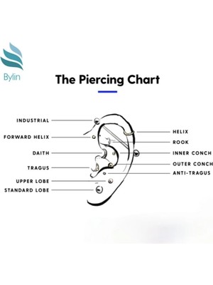 Bylin  G23 Titanyum Piercing - Bar Uzunluğu 8mm - 1 Adet