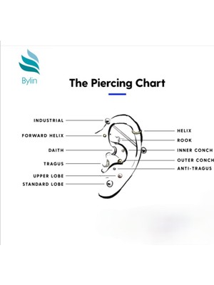 Bylin G23 Titanyum Tek Taşlı Piercing - Bar Uzunluğu 6mm - 1 Adet