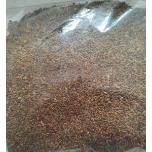 Yılmaz Şifalı Bitkiler ve Baharat Ürünü Maydanoz 100 Gram Dökme Yerli Tohumdur