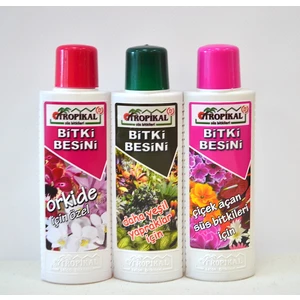 Twins Floral Art Tropikal Bitki Besini 3'lü