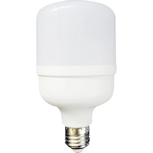 Global K2 KES134 60W 265V E27 6500K Beyaz LED T Ampul