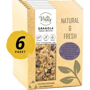 Doğal Katkısız Granola Yaban Mersini 6'lı Paket 6X320G