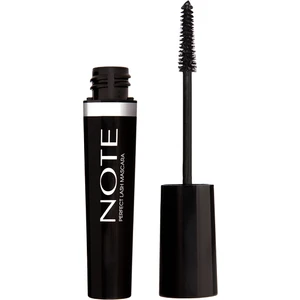 Perfect Lash Mascara Black