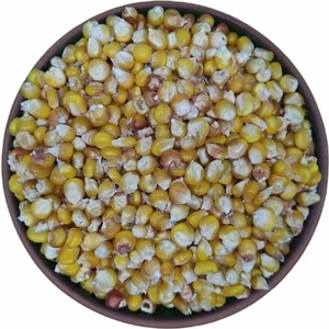 Yedi Değirmen Tane Mısır (Haşlamalık) 1 kg