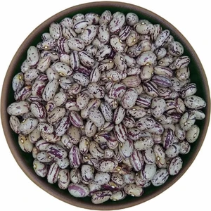 Yedi Değirmen Barbunya Fasulyesi 1 kg