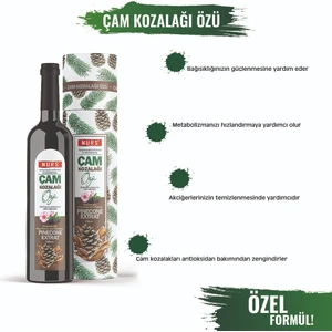 Kozalak Şurubu Çam Kozalağı Şurubu 250 cc