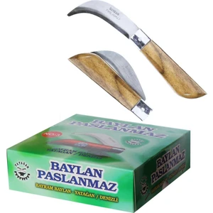 Bayram Aşı Bıçağı ( 10 Adet )  Bağ Bıçağı Paslanmaz Ceviz Aşı Çakısı 22CM No:3