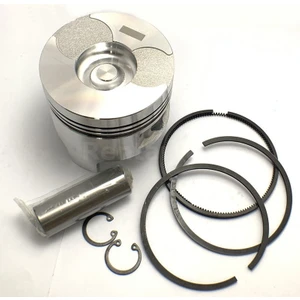 Dts 188FA - 11HP Piston Segman Set (0,25) 88,25mm