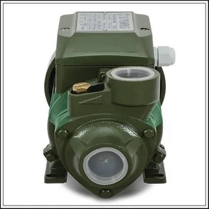 Schutzenger Mrs Max Qb 60 Micro Vortex Pompa Su Pompası 0,37 Kw 0,55 Hp 1 Inc