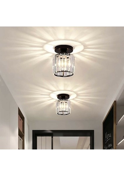 Luxury Siyah Plafonyer Avize fiyatları