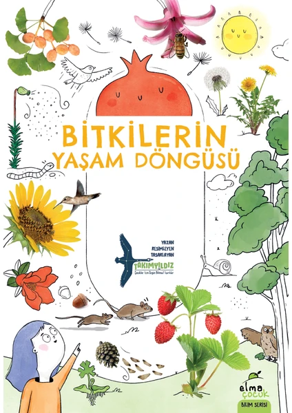 Bitkilerin Yaşam Döngüsü