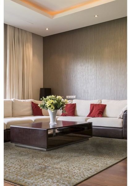 Silk Touch Vizon 236X301 Halı ~ 7.1 M2