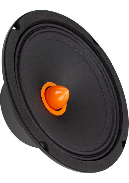 Ts6. 5d. A 16 cm Max 300 Watt Mıdrange Hoparlör Tekli