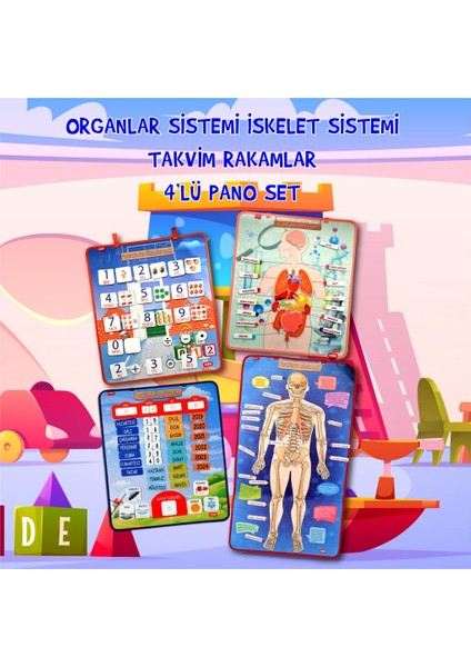 4 Set 151 Parça Tox Iskelet , Iç Organlar Sistemi , Takvim ve Rakamları Öğreniyorum Keçe Cırtlı Duvar Panoları , Eğitici Oyuncak