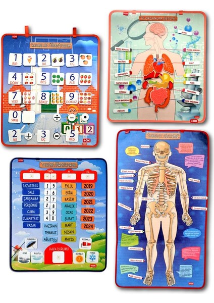 4 Set 151 Parça Tox Iskelet , Iç Organlar Sistemi , Takvim ve Rakamları Öğreniyorum Keçe Cırtlı Duvar Panoları , Eğitici Oyuncak