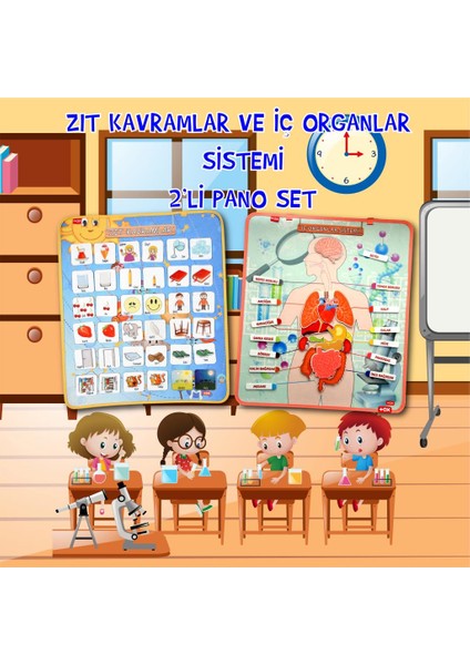 2 Set - 62 Parça Tox Iç Organlar ve Zıt Kavramlar Keçe Cırtlı Duvar Panoları , Eğitici Oyuncak