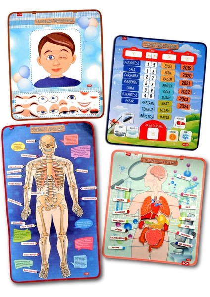 4 Set 127 Parça Tox Iskelet , Iç Organlar Sistemi , Takvim ve Duyguları Öğreniyorum Keçe Cırtlı Duvar Panoları , Eğitici Oyuncak