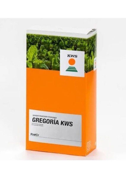 Kws Gregorıa Şeker Pancarı Tohumu