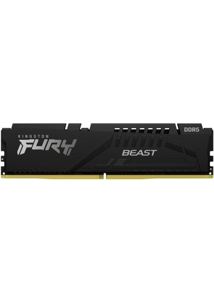 Fury Beast 16GB 5600MZ Ddr5 KF556C40BB-16