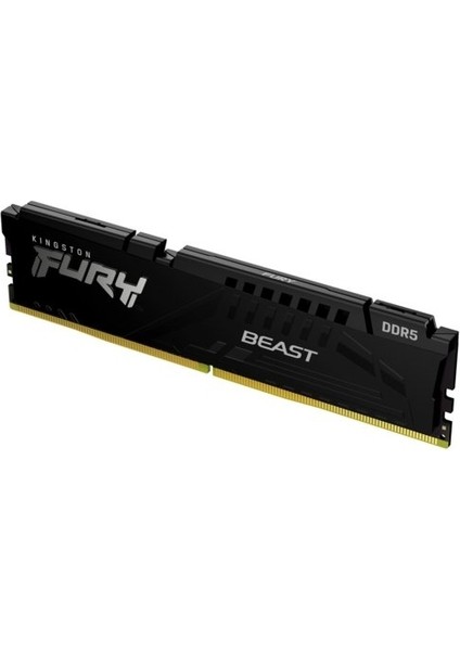 Fury Beast 16GB 6000MZ Ddr5 KF560C40BB-16