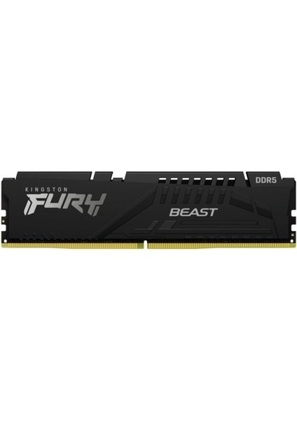 Fury Beast 16GB 6000MZ Ddr5 KF560C40BB-16