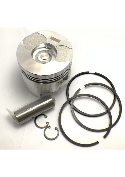 Dts 188FA - 11HP Piston Segman Set (0,25) 88,25mm