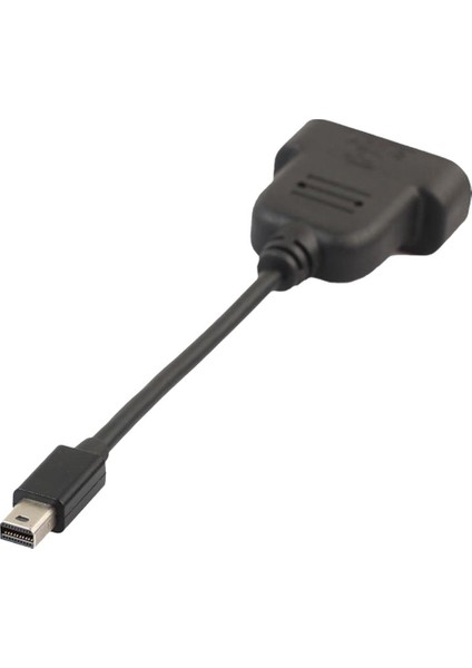 Charmant Mini Dp DVI Kablo Mini Displayport DVI Adaptörü 13CM (Yurt Dışından)