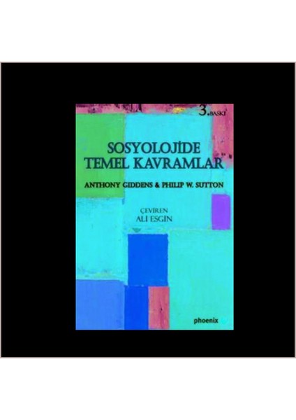 Sosyolojide Temel Kavramlar - Anthony Giddens & Philip W. Sutton