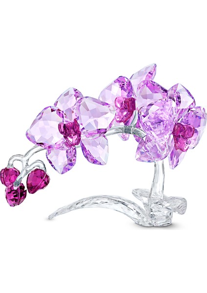 5520373 Swarovski Biblo Crystal Flowers:orchid