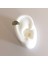 Cerrahi Çelik Rainbow Iskelet El Piercing 6 mm 3