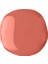 Nail Enamel Oje 53 Salmon - Somon 2