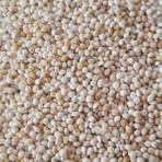 Ankara Yem Evi Ak Darı 1 kg