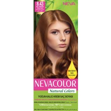 Neva Color Saç Boyası Seti 8.43 Bal Köpüğü