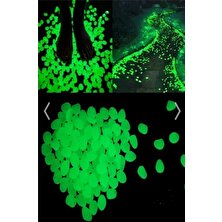 Anka Shop 50 Adet Gece Karanlıkta Parlayan Dekoratif Fosforlu Çakıl Taşı