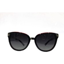 Osse Güneş Os 1832 C4