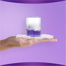 Orkid Discreet Emici Külot Large 8'li